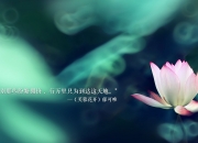 雷火电竞合作-华沙铁幕下的孤光，2026世界杯A组，卢卡库撕裂沙漠防线，波兰用压强碾碎卡塔尔奇迹
