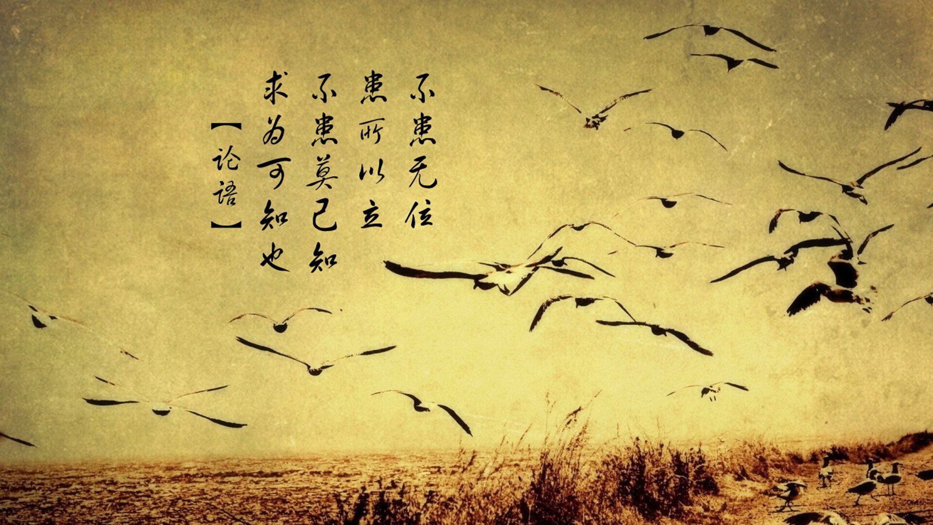 绿茵教科书，戈麦斯用一己之力，在奥地利与秘鲁之间写下标准答案