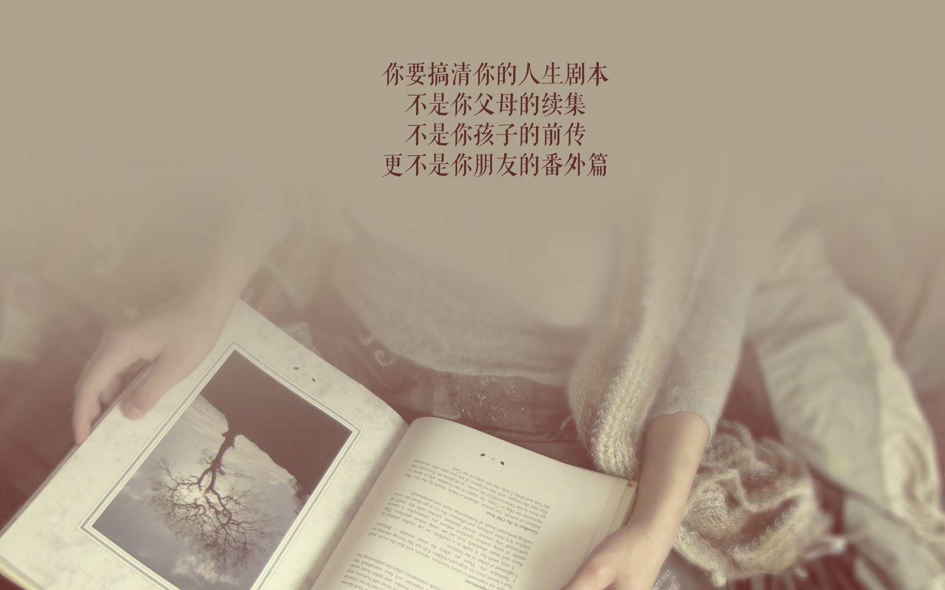 这是一篇为您定制的文章，旨在营造强烈的现场感与历史唯一性