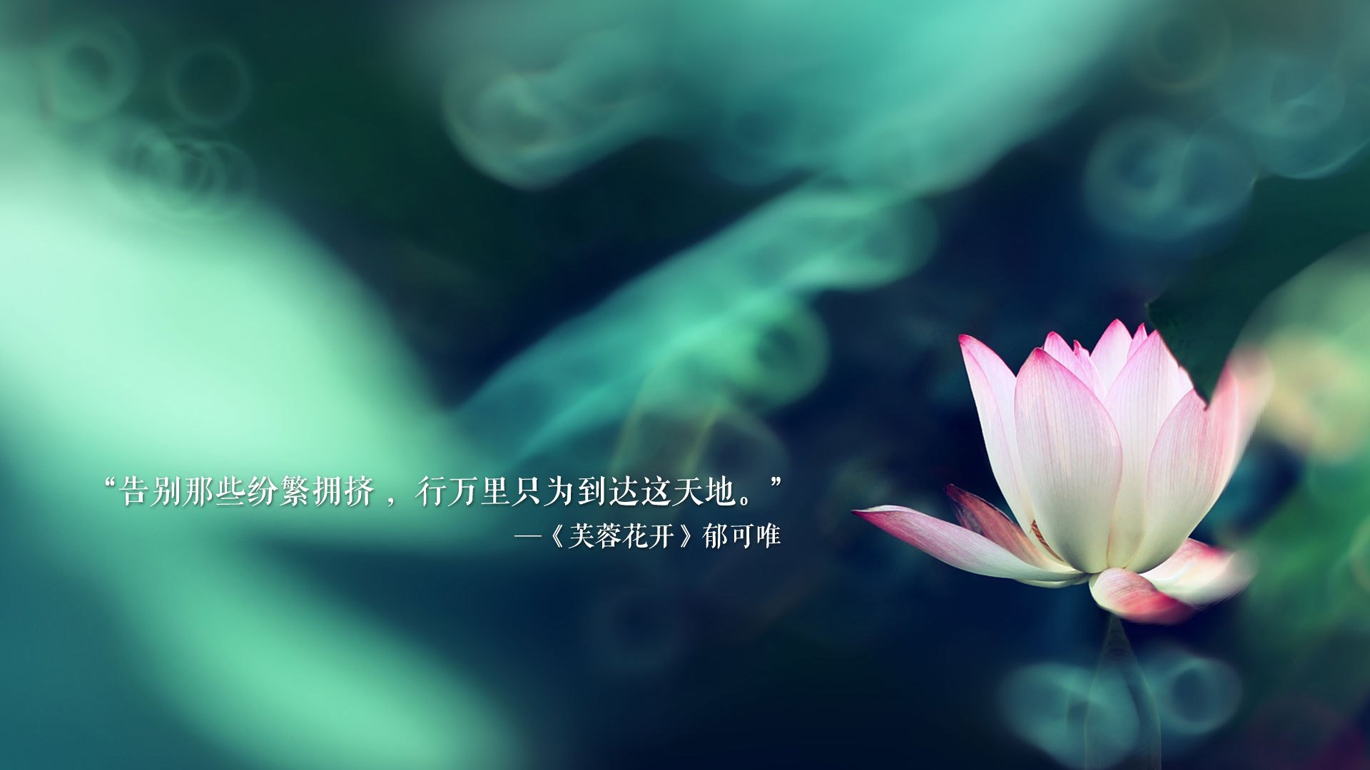 华沙铁幕下的孤光，2026世界杯A组，卢卡库撕裂沙漠防线，波兰用压强碾碎卡塔尔奇迹